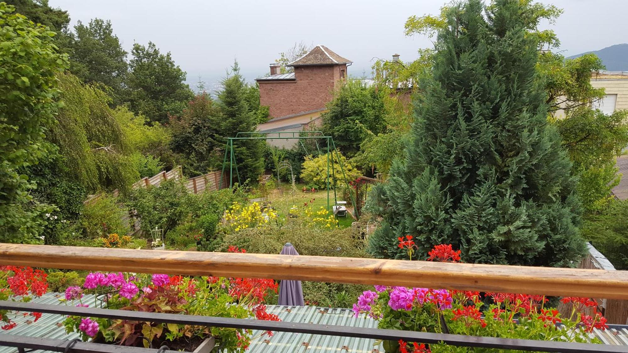 Les Iris Chambres D'Hote Niedermorschwihr Bilik gambar