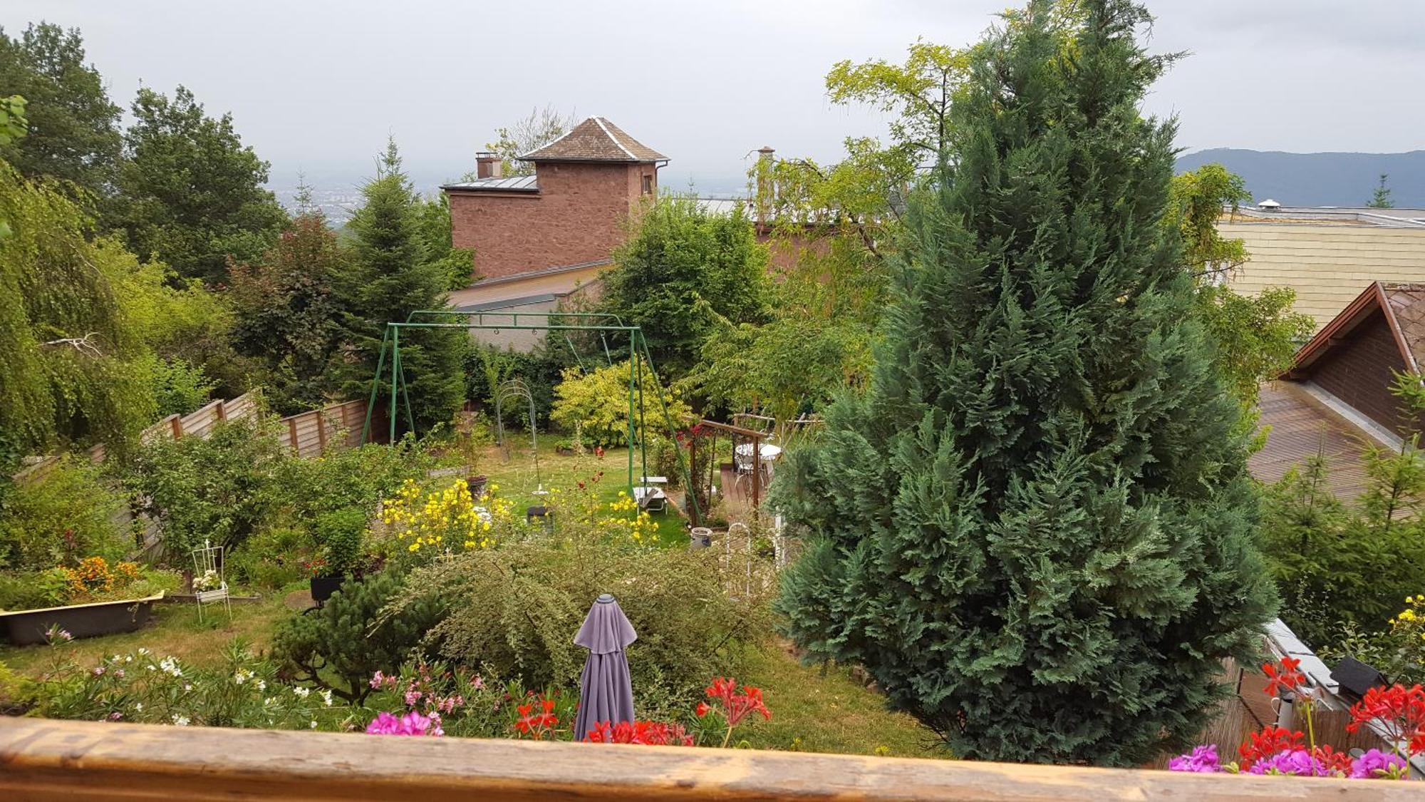 Les Iris Chambres D'Hote Niedermorschwihr Bilik gambar